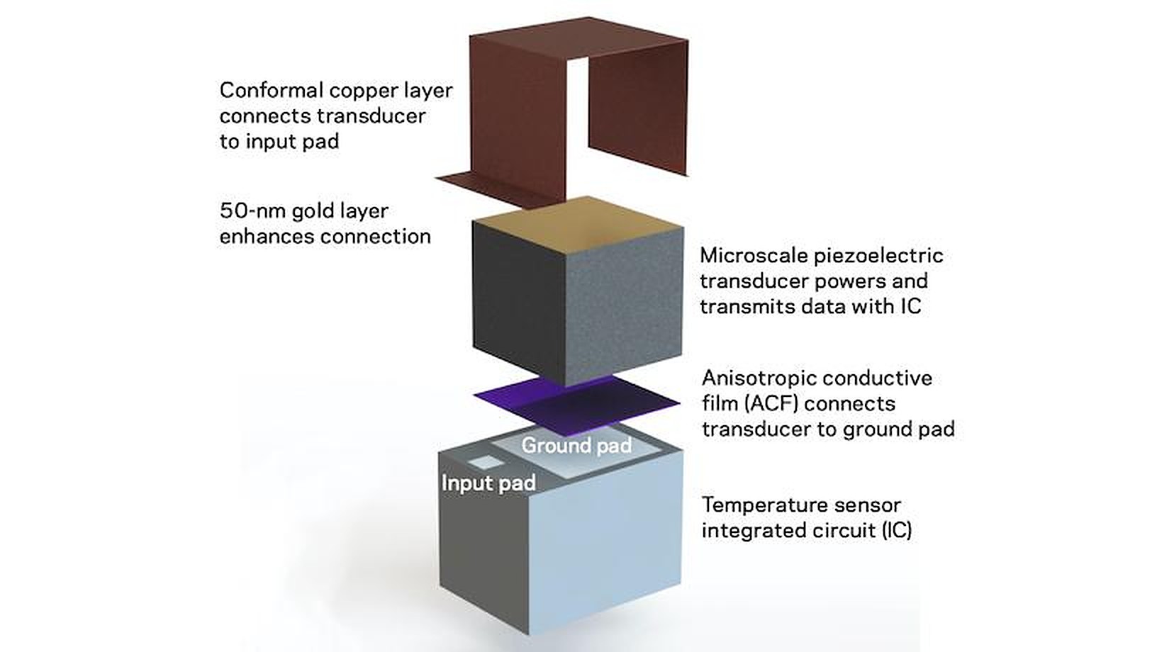 ASIC vs FPGA in chip design