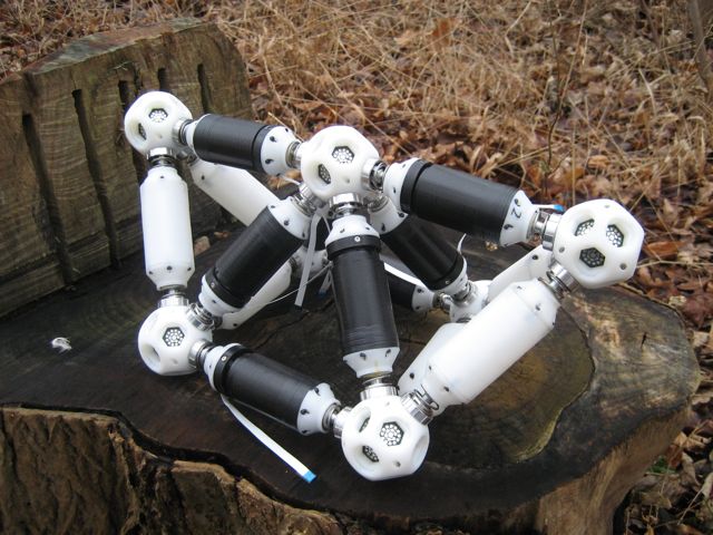 webots modular robot biorob