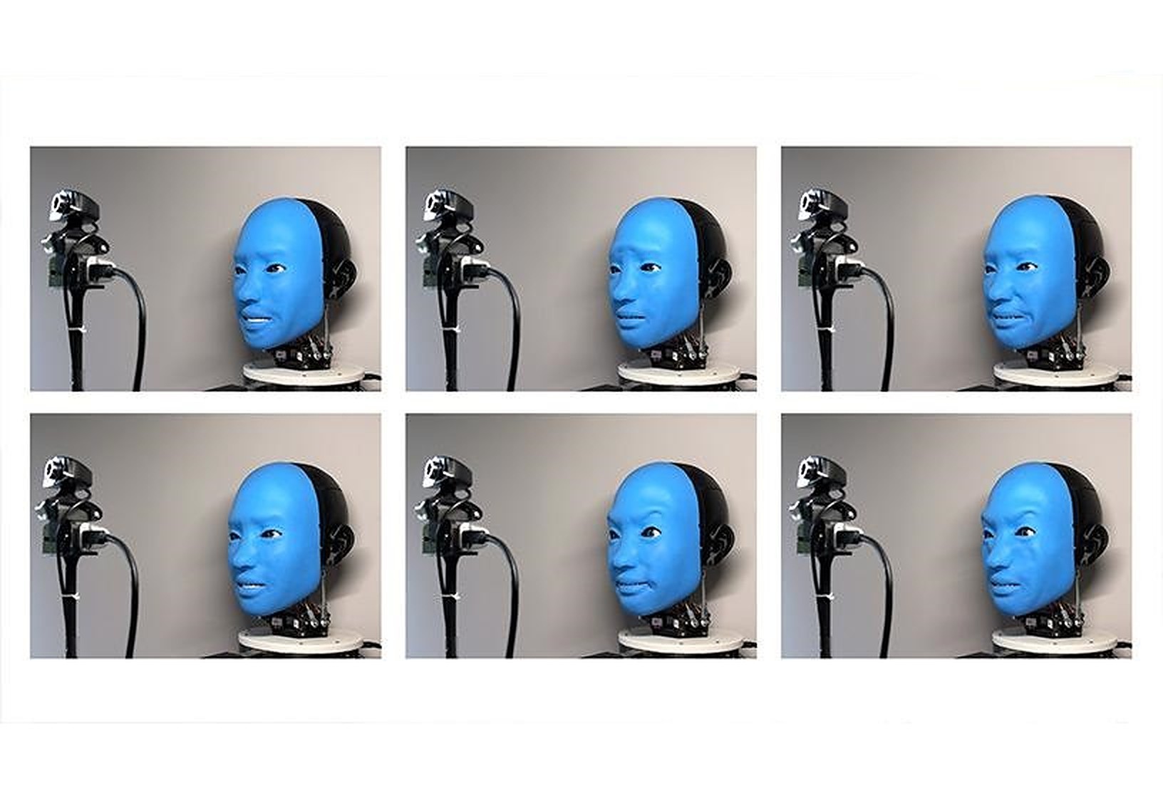 the-robot-smiled-back