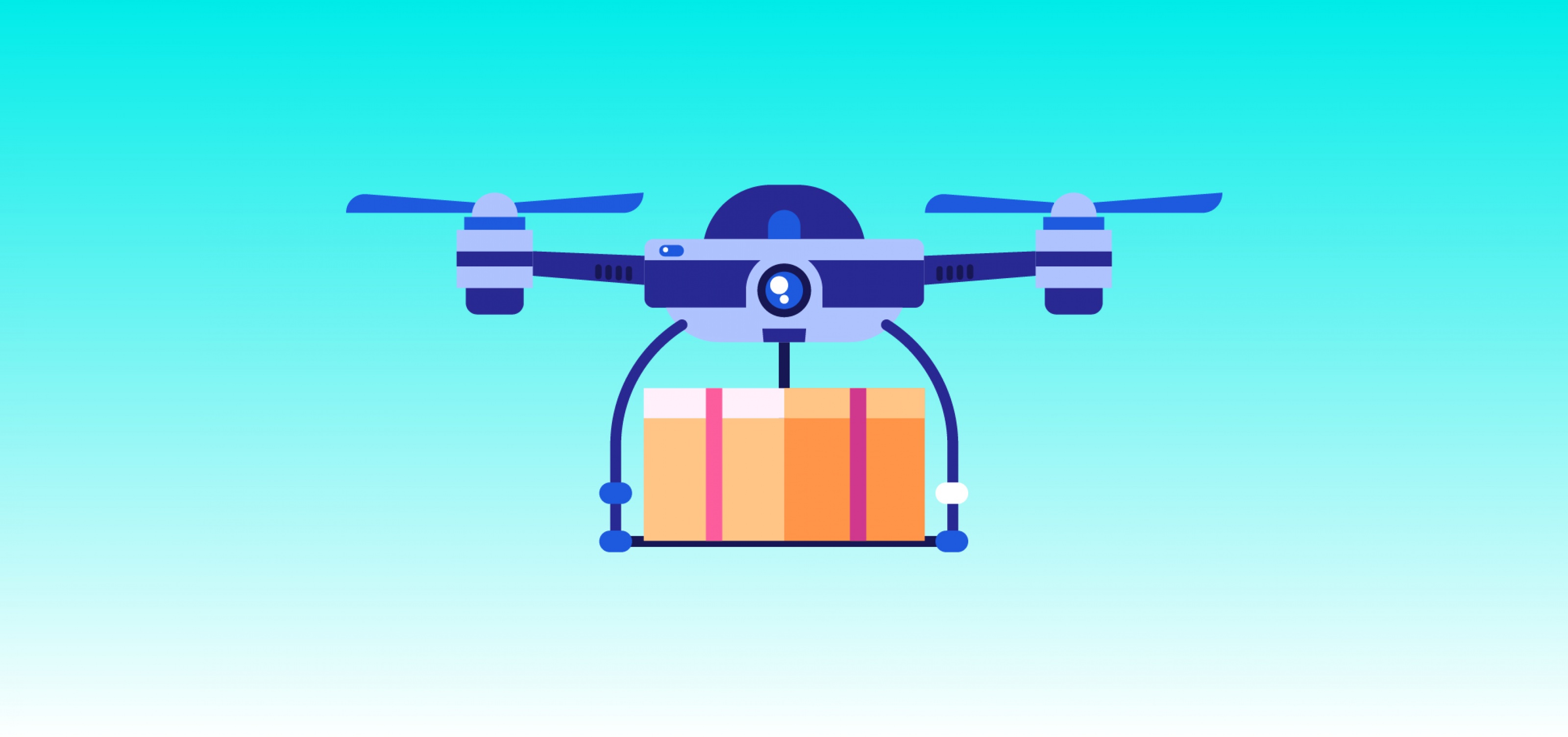 drones that carry packages